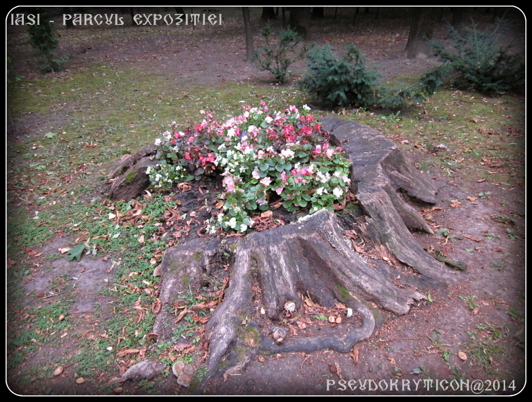 Parcul EXPOZITIEI -IASI 20140926_02_Parcul_Expozitiei_003