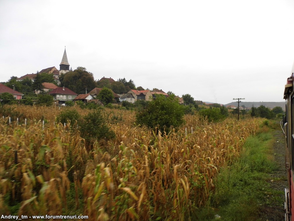 406 : Bistrita Bargaului hcv. - Bistrita Nord - Saratel - Ludus - Pagina 4 Septembrie_2015_50