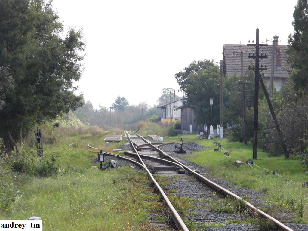 118 : Timisoara Sud - Buziaş - Pagina 3 P1080435