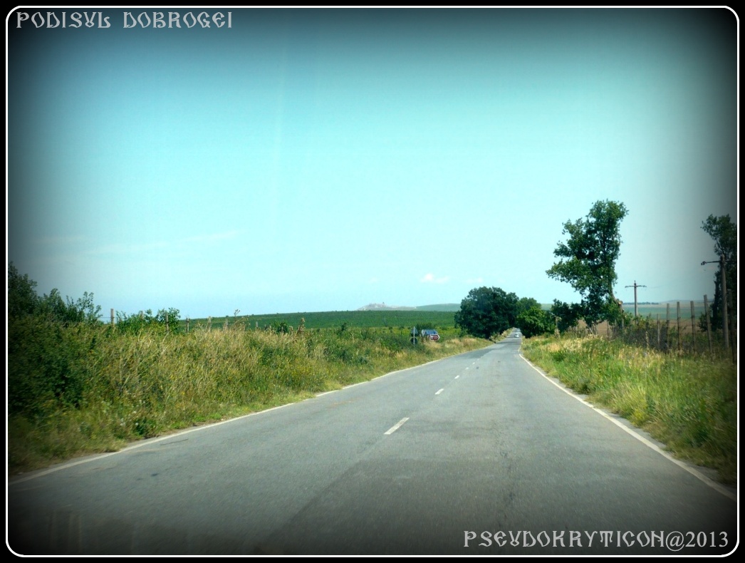 Podisul CASIMCEI Podis_Dobrogea_20130714_015