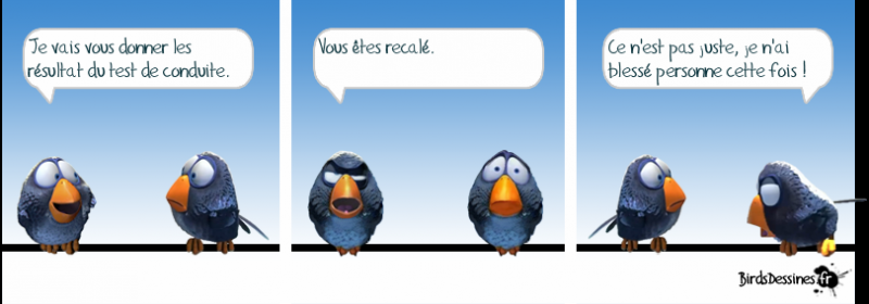 [JEUDI] - Les Birds - [ARCHIVES 01] - Page 39 2018-06-01-les-birds-01