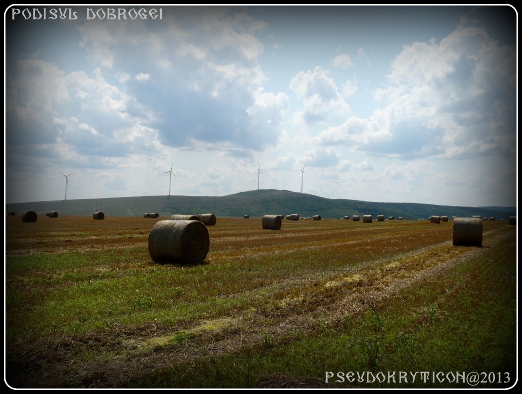 Podisul CASIMCEI Podis_Dobrogea_20130714_017