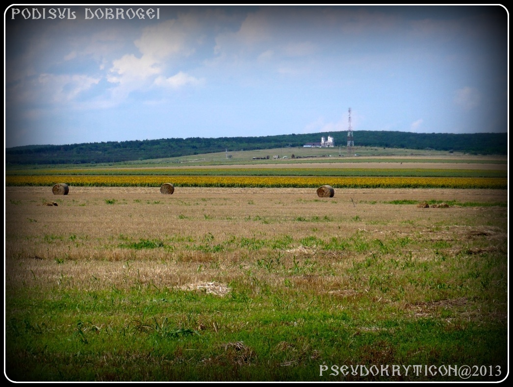 Podisul CASIMCEI Podis_Dobrogea_20130714_018