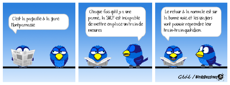 [JEUDI] - Les Birds - [ARCHIVES 01] - Page 40 2018-05-16-les-birds-01