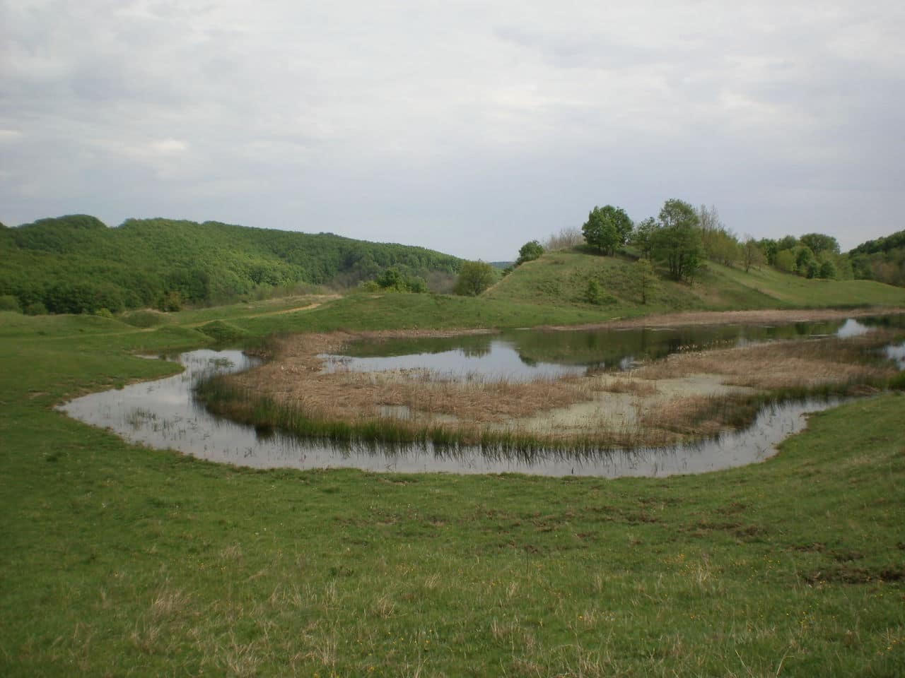 LACUL NISTOI P1011405