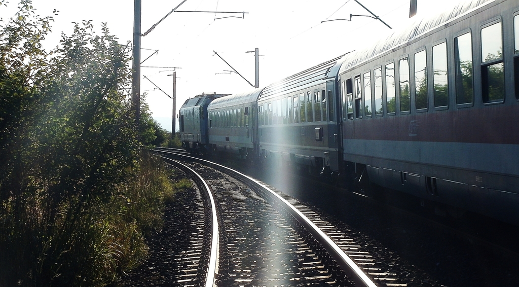 FOTOGRAFIA NR. 560 560