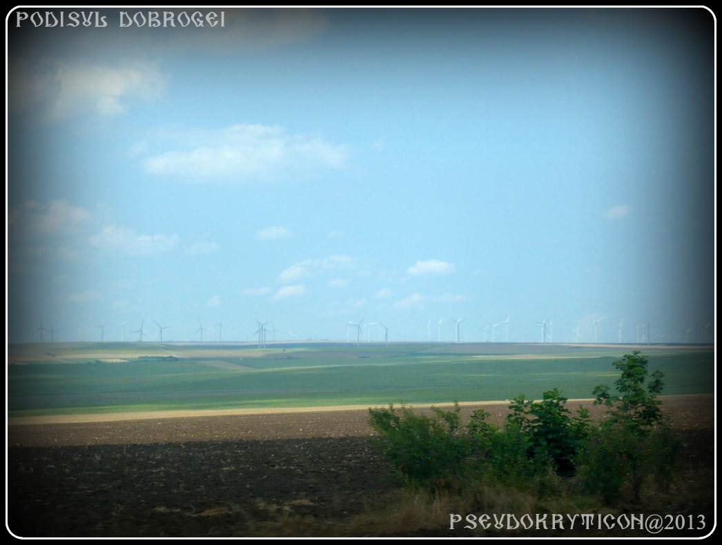 Podisul CASIMCEI Podis_Dobrogea_20130714_005