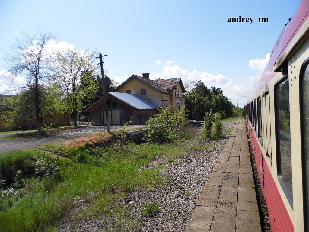 217 : Timisoara Nord - Periam - Lovrin - Nerau - Pagina 2 P1020425