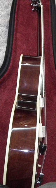 Guitarra Ibanez AK86-DVS-12-01   -    R$ 1.850,00 DSCF4445