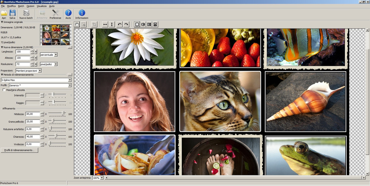 Benvista PhotoZoom Pro 7.0.8 Multilingual Immagine