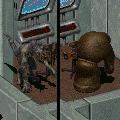 Compañeros del Fallout 2 Goris