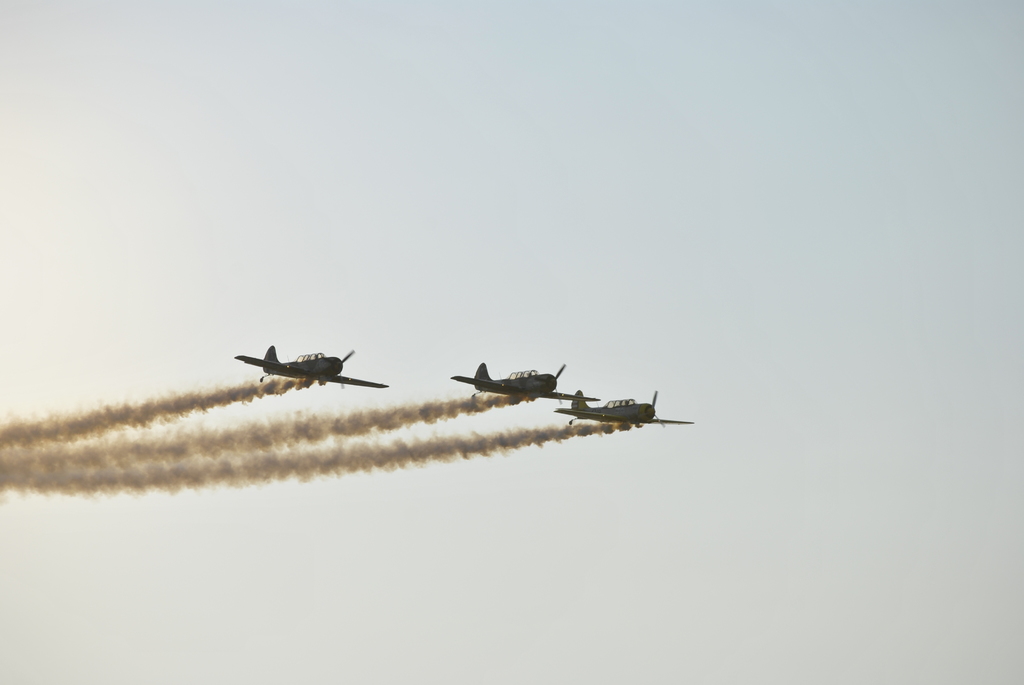 Suceava AirShow 2015 (ediţia a IV-a), Suceava – 29.08.2015 DSC5595