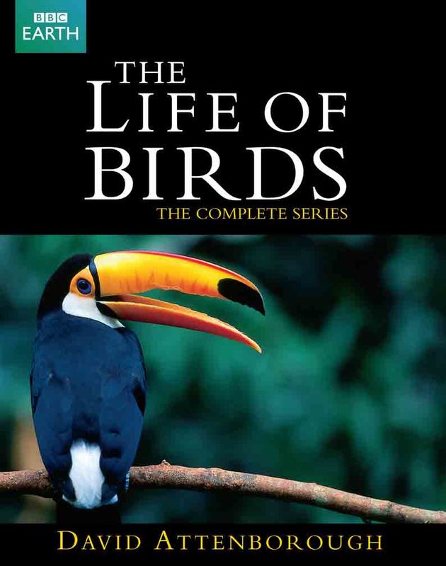 BBC The Life Of Birds COMPLETE Life20of20birds201_zpsc4eba759