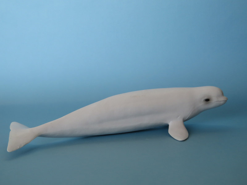 Battat Terra Beluga Whale: walkaround and comparison with Safari Ltd IMG_6738ed