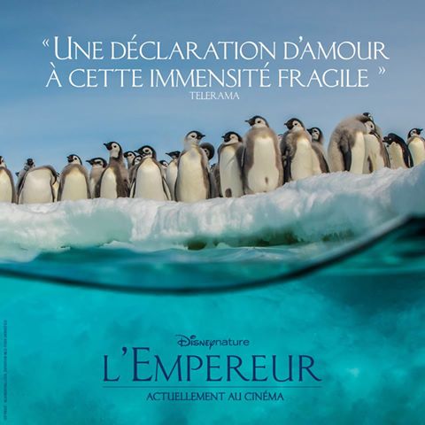 L'Empereur - Disneynature  16681724_1347522371970602_3953600405691269953_n