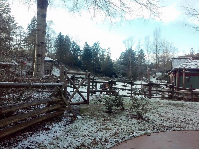 Les parcs en Hiver  - Page 3 12472551_446973112159393_6380310302451591120_n