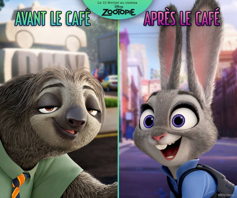 Zootopia  (Walt Disney Animation Studios)  17 Février 2016  - Page 2 12592679_984579141650338_3862454671966643922_n