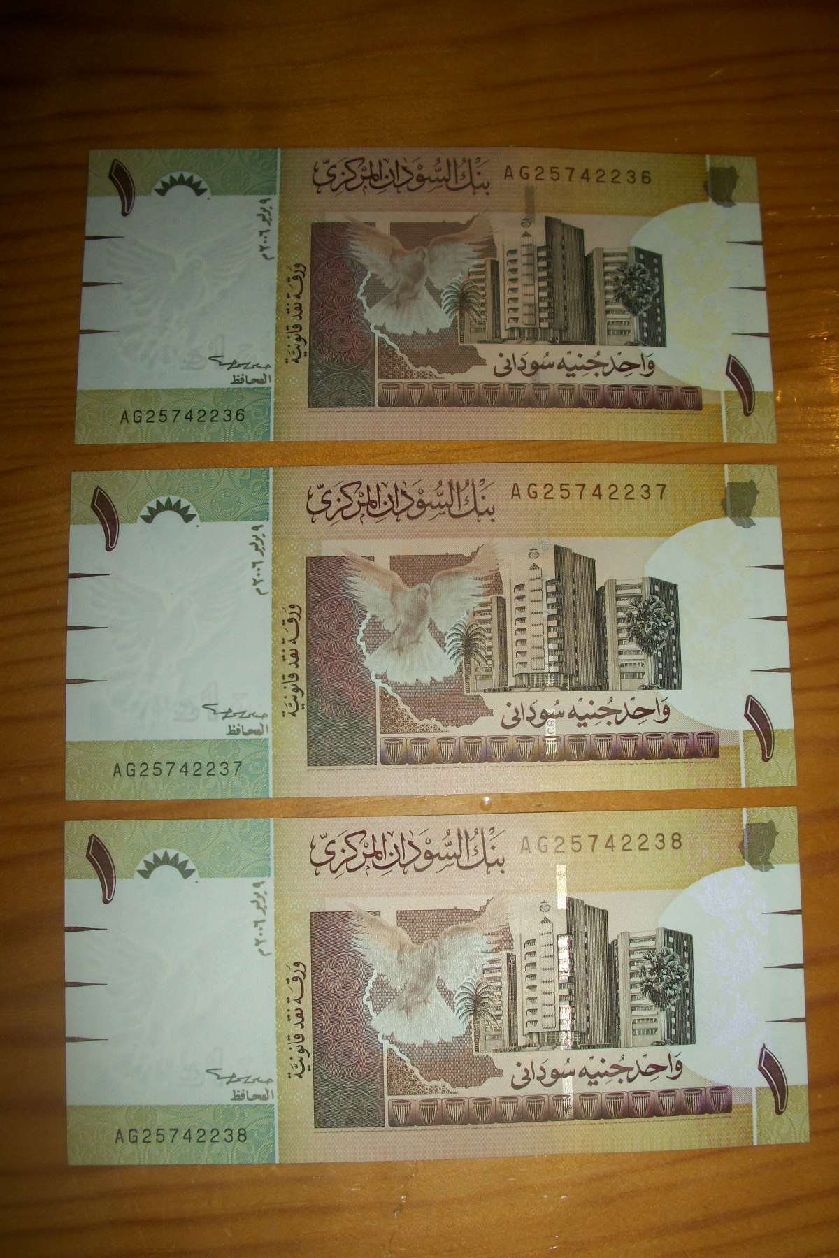 1 Pound Sudan, 2006 100_7338