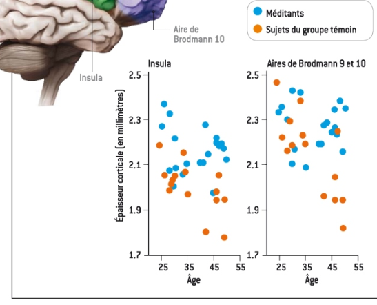 Les Mérites de la Méditation en islam: CERVEAUX PLUS JEUNES Image