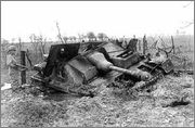 Decapitated tanks Img12b2460fzikfzj