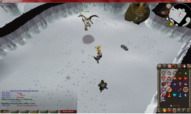 1st trip at armadyl today 6kills in Armadyl_chainskirt