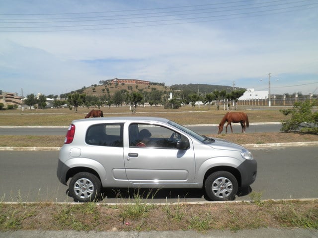 La mia FIAT - Pagina 10 Laguna_005