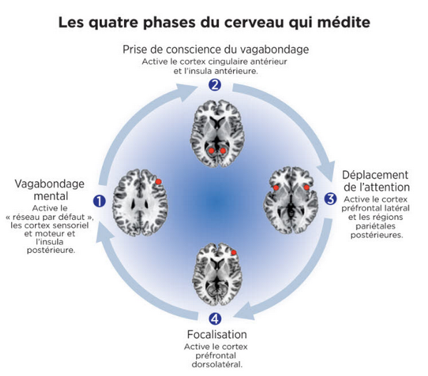 Les Mérites de la Méditation en islam: CERVEAUX PLUS JEUNES Image