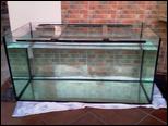 Projecto Aquario 120x60x60 e afins... 266991_aqtrv