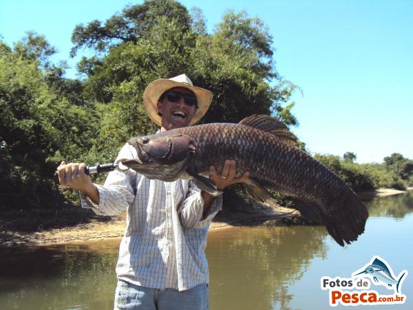 Trairão VS Cabeça-de-cobra gigante 34500