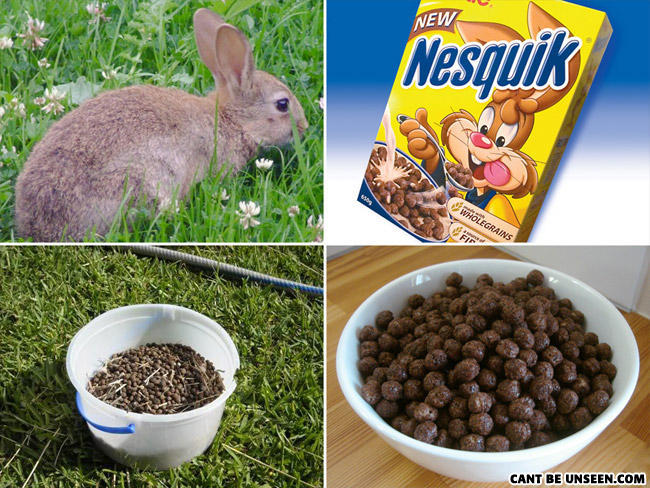 What has been seen... Nesquick