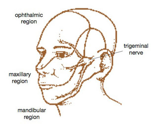 الألم العصبي Neuralgia 197