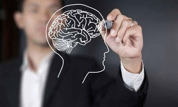  10 حقائق مذهلة لا تعرفها عن دماغ الإنسان Large