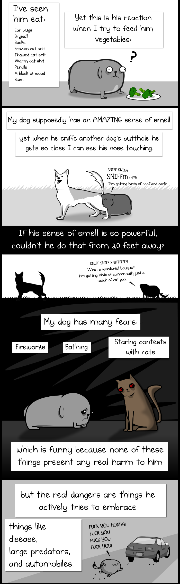 Dog Paradox 5