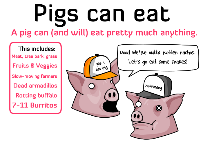 4 reasons why pigs are are more awesome than humans Eat