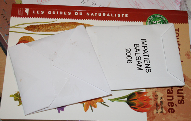 Enveloppes pour graines IMG_3755_imv