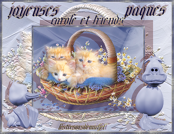 Cadeaux pour tous les membres du forum CAROLE