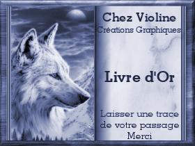 Chez Violine - Page 4 LivreOr_61