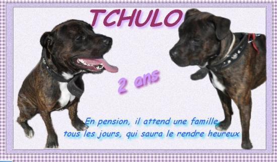 TCHULO, Staff de 2ans sous ERLC (13) TCHULINOU