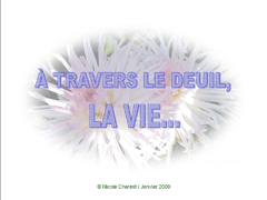 Diapos zen "Petites douceurs" A-travers-le-deuil