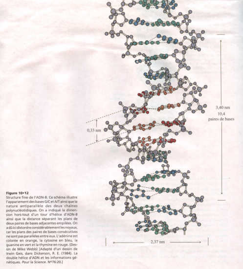 BIOLOGIE MOLECULAIRE (cours) 7