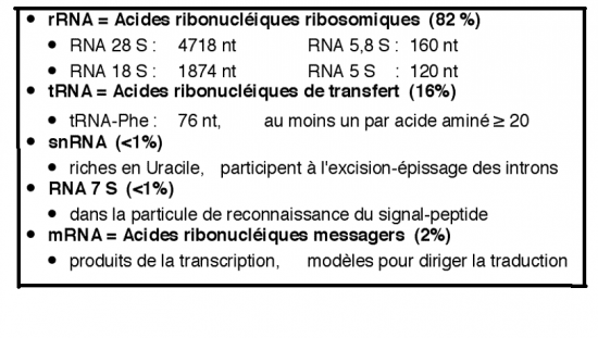 BIOLOGIE MOLECULAIRE (cours) Arn5