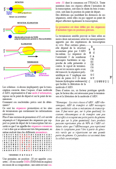 BIOLOGIE MOLECULAIRE (cours) E2