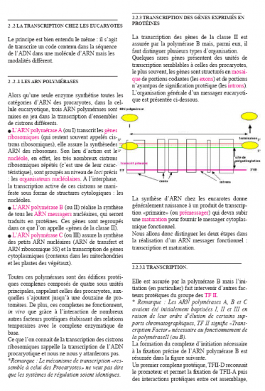 BIOLOGIE MOLECULAIRE (cours) E3