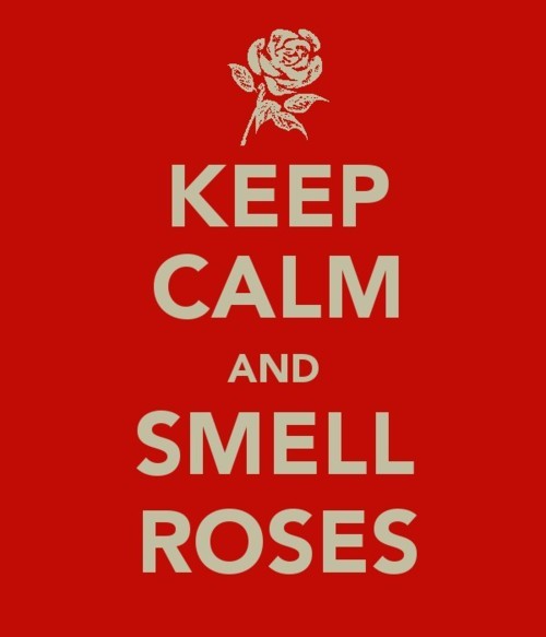 Klepetalnica - Page 2 Keep-calm-president-snow-roses-the-hunger-games-Favim.com-353878