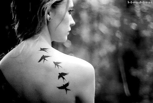 ` Avatar αrşivim ` [GüηcεL] -,- Art-beautiful-birds-black-black-and-white-Favim.com-409149