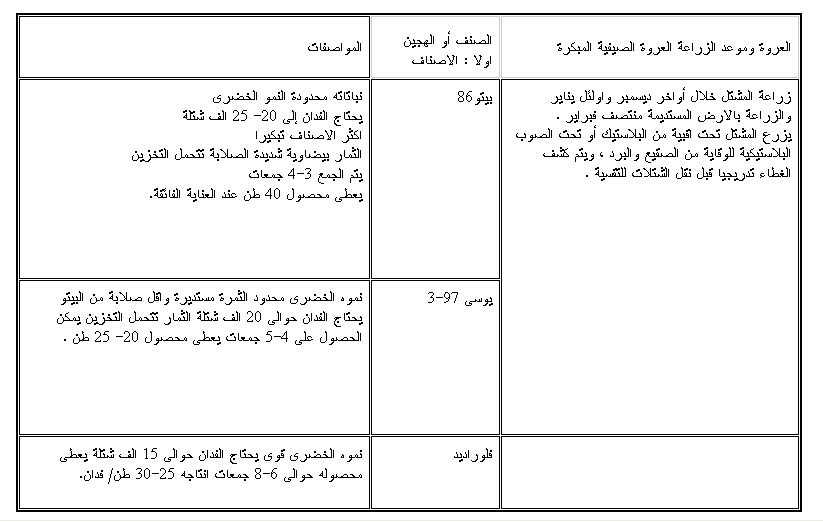 زراعة الطماطم  1104397487