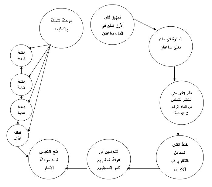 دراسات جدوى المشروعات الغذائية / دراسة جدوى مشروع إنتاج فطريات عيش الغراب - المشروم  1111577590