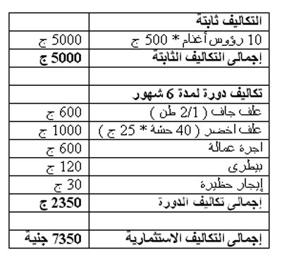 دراسة جدوى مشروع تسمين أغنام  1133172475