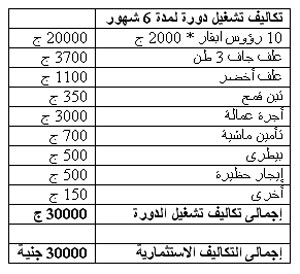 دراسة جدوى مشروع تسمين عجول بتلو   1133174759