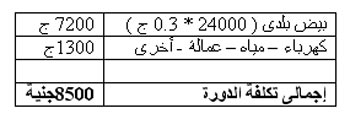 دراسة جدوى مشروع تشغيل معمل تفريخ كتاكيت بلدية  1133176120